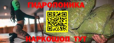 кокс Бийск